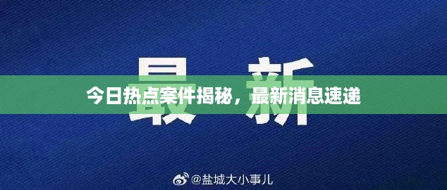 今日热点案件揭秘，最新消息速递