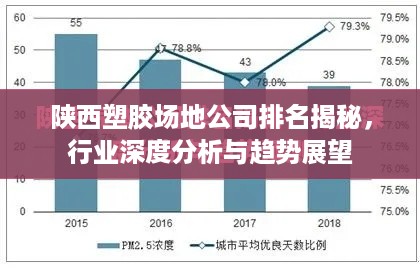 陕西塑胶场地公司排名揭秘，行业深度分析与趋势展望