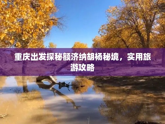 重庆出发探秘额济纳胡杨秘境，实用旅游攻略