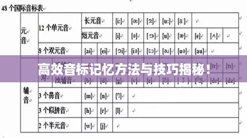 高效音标记忆方法与技巧揭秘！