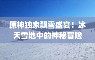 原神独家飘雪盛宴！冰天雪地中的神秘冒险之旅