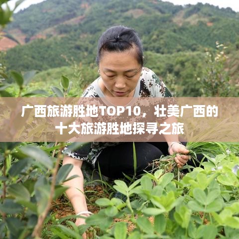 广西旅游胜地TOP10，壮美广西的十大旅游胜地探寻之旅