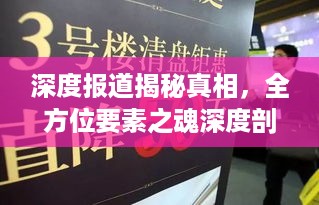 深度报道揭秘真相，全方位要素之魂深度剖析