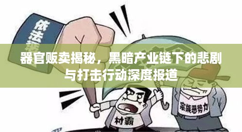 器官贩卖揭秘，黑暗产业链下的悲剧与打击行动深度报道