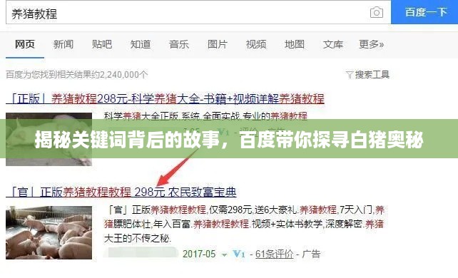 揭秘关键词背后的故事，百度带你探寻白猪奥秘