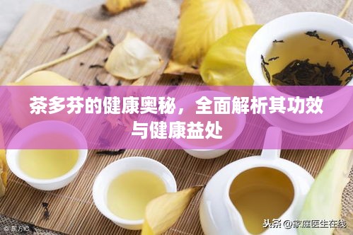 茶多芬的健康奥秘，全面解析其功效与健康益处