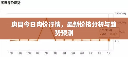 唐县今日肉价行情，最新价格分析与趋势预测