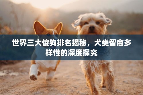 世界三大傻狗排名揭秘，犬类智商多样性的深度探究