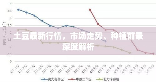 土豆最新行情，市场走势、种植前景深度解析