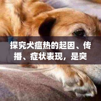 探究犬瘟热的起因、传播、症状表现，是突发还是早有迹象？