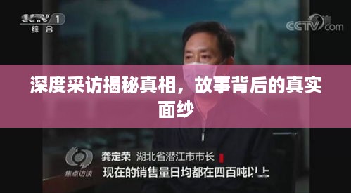 深度采访揭秘真相，故事背后的真实面纱