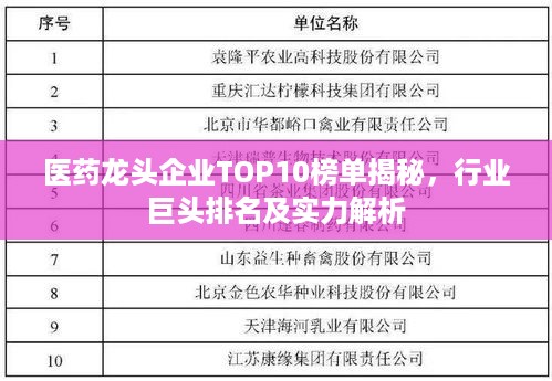 医药龙头企业TOP10榜单揭秘，行业巨头排名及实力解析