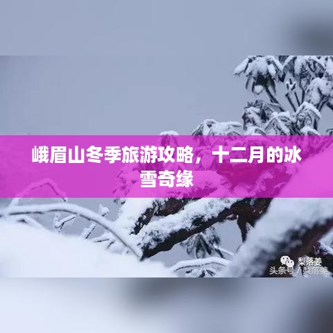 峨眉山冬季旅游攻略，十二月的冰雪奇缘