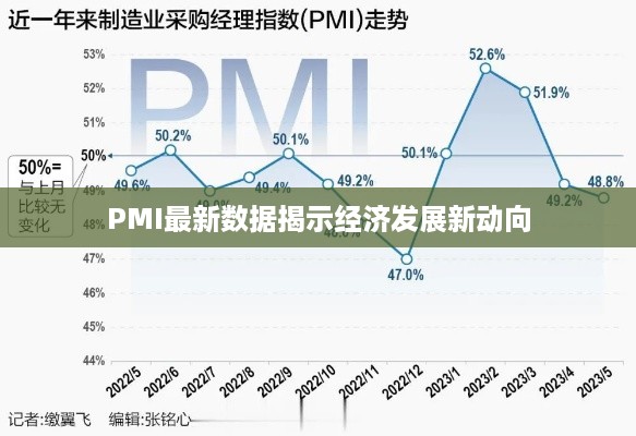 PMI最新数据揭示经济发展新动向