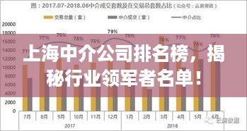 上海中介公司排名榜，揭秘行业领军者名单！