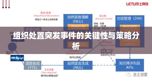 组织处置突发事件的关键性与策略分析