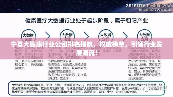 宁夏大健康行业公司排名揭晓，权威榜单，引领行业发展潮流！