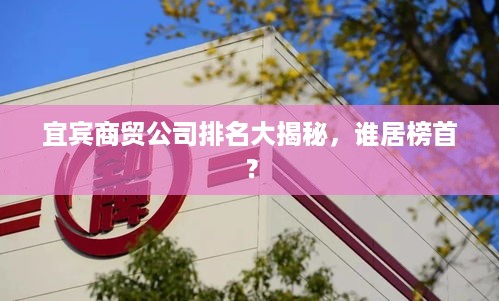 宜宾商贸公司排名大揭秘，谁居榜首？