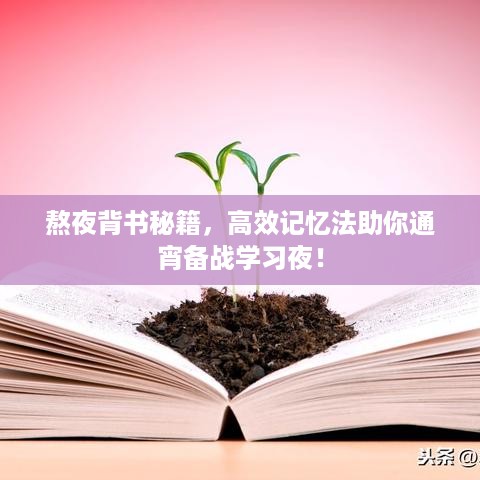 熬夜背书秘籍，高效记忆法助你通宵备战学习夜！