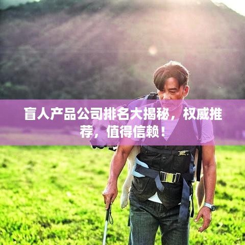 盲人产品公司排名大揭秘，权威推荐，值得信赖！