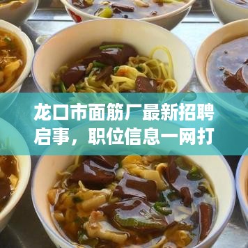 龙口市面筋厂最新招聘启事，职位信息一网打尽！