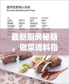 最新厨房秘籍，做菜调料指南下载手册，轻松掌握烹饪技巧！