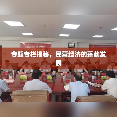 专题专栏揭秘，民营经济的蓬勃发展