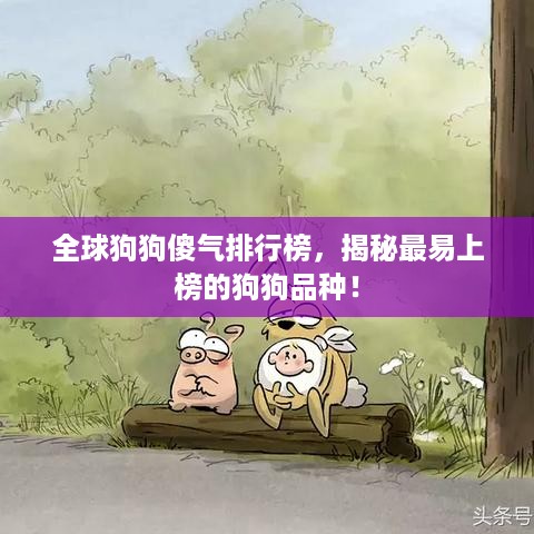 全球狗狗傻气排行榜，揭秘最易上榜的狗狗品种！
