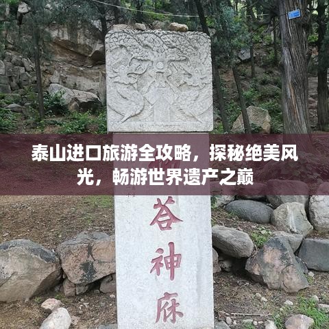 泰山进口旅游全攻略，探秘绝美风光，畅游世界遗产之巅