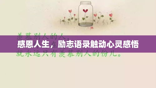 感恩人生，励志语录触动心灵感悟
