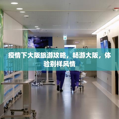 疫情下大阪旅游攻略，畅游大阪，体验别样风情