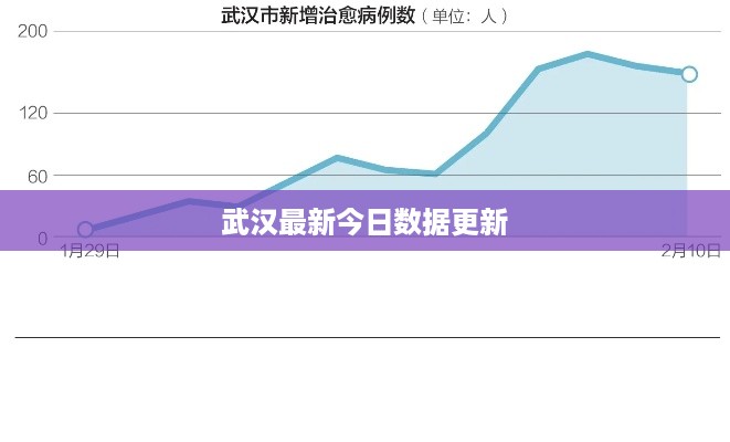 武汉最新今日数据更新