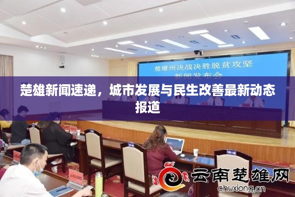 楚雄新闻速递，城市发展与民生改善最新动态报道