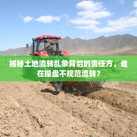 揭秘土地流转乱象背后的责任方，谁在操盘不规范流转？