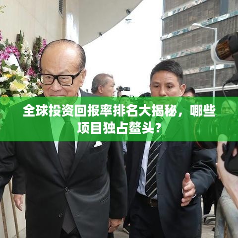 全球投资回报率排名大揭秘，哪些项目独占鳌头？