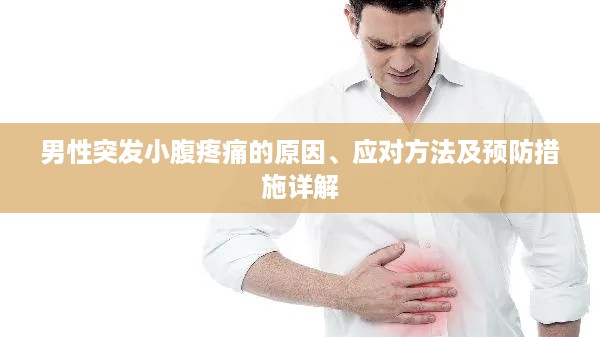 男性突发小腹疼痛的原因、应对方法及预防措施详解