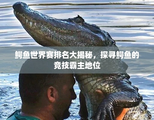 鳄鱼世界赛排名大揭秘，探寻鳄鱼的竞技霸主地位