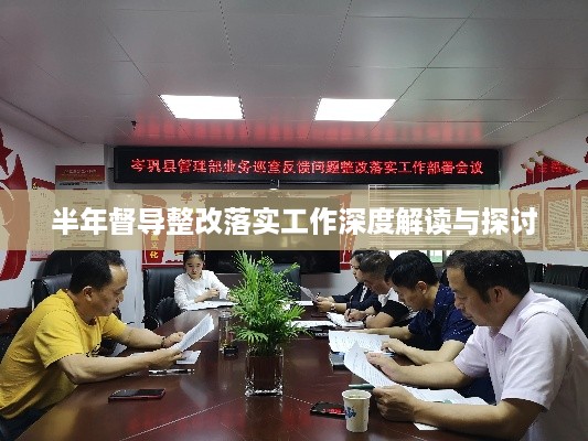 半年督导整改落实工作深度解读与探讨