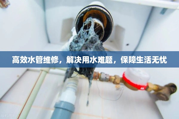 高效水管维修，解决用水难题，保障生活无忧