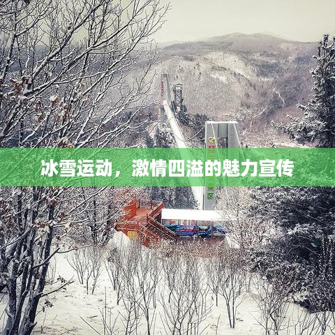 冰雪运动，激情四溢的魅力宣传