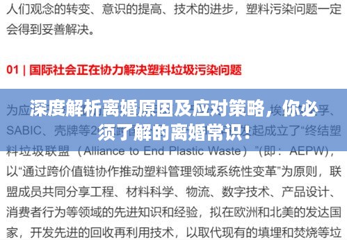 深度解析离婚原因及应对策略，你必须了解的离婚常识！