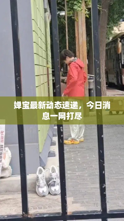 婵宝最新动态速递，今日消息一网打尽
