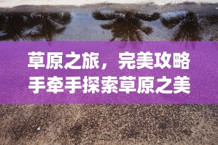 草原之旅，完美攻略手牵手探索草原之美
