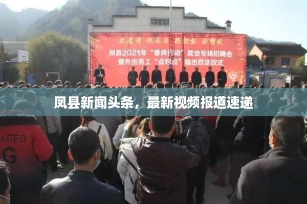 凤县新闻头条，最新视频报道速递