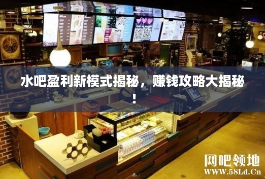 水吧盈利新模式揭秘，赚钱攻略大揭秘！