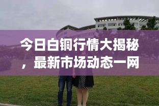 今日白铜行情大揭秘，最新市场动态一网打尽