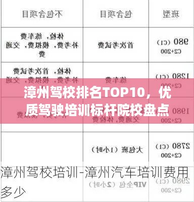 漳州驾校排名TOP10，优质驾驶培训标杆院校盘点！