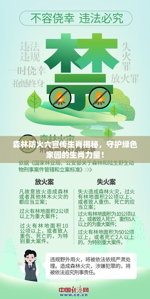 森林防火六宣传生肖揭秘，守护绿色家园的生肖力量！
