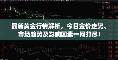 最新黄金行情解析，今日金价走势、市场趋势及影响因素一网打尽！