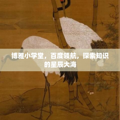 博雅小学堂，百度领航，探索知识的星辰大海